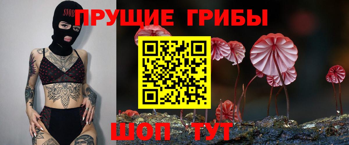 Галлюциногенные грибы MAGIC MUSHROOMS Кинель